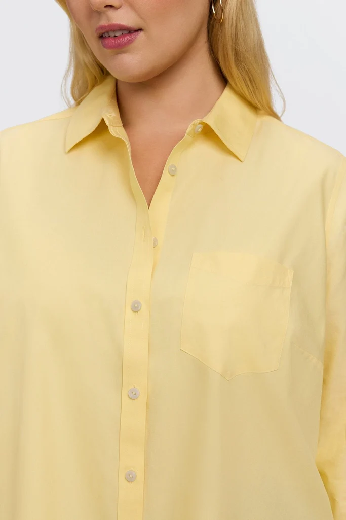 Boyfriend Plus No Iron Pinpoint Long Sleeve Tunic - Image 6