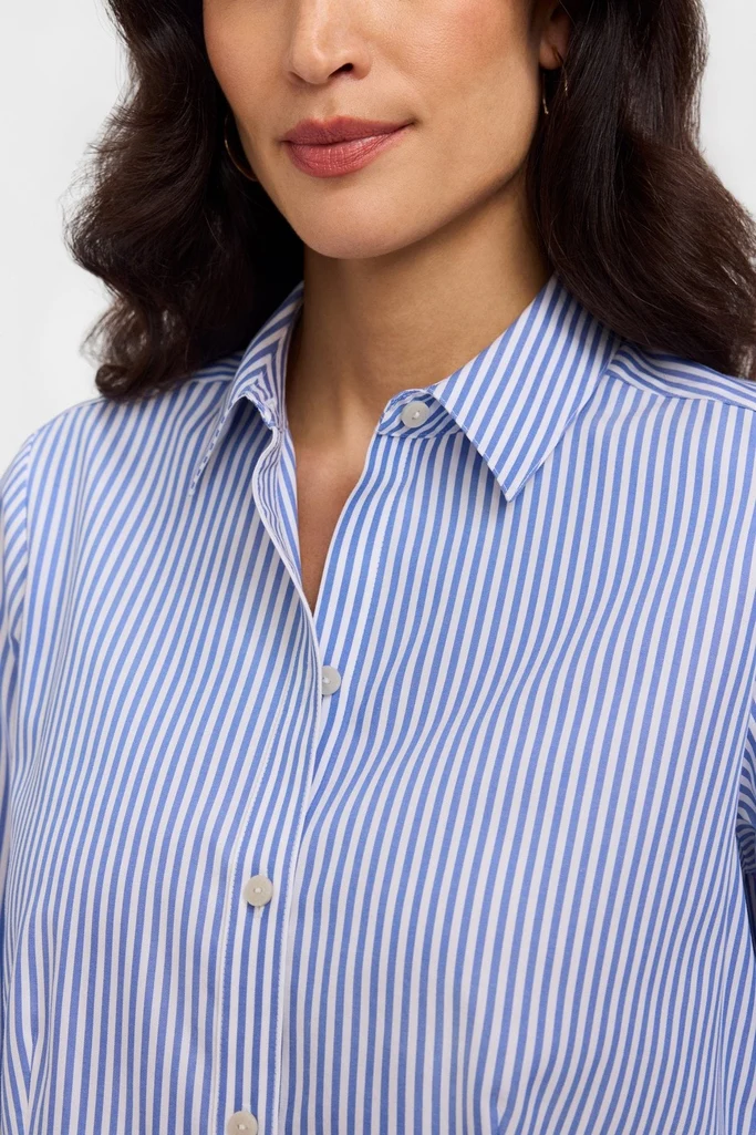 Dianna No Iron Pinpoint Stripe Long Sleeve Shirt - Image 3