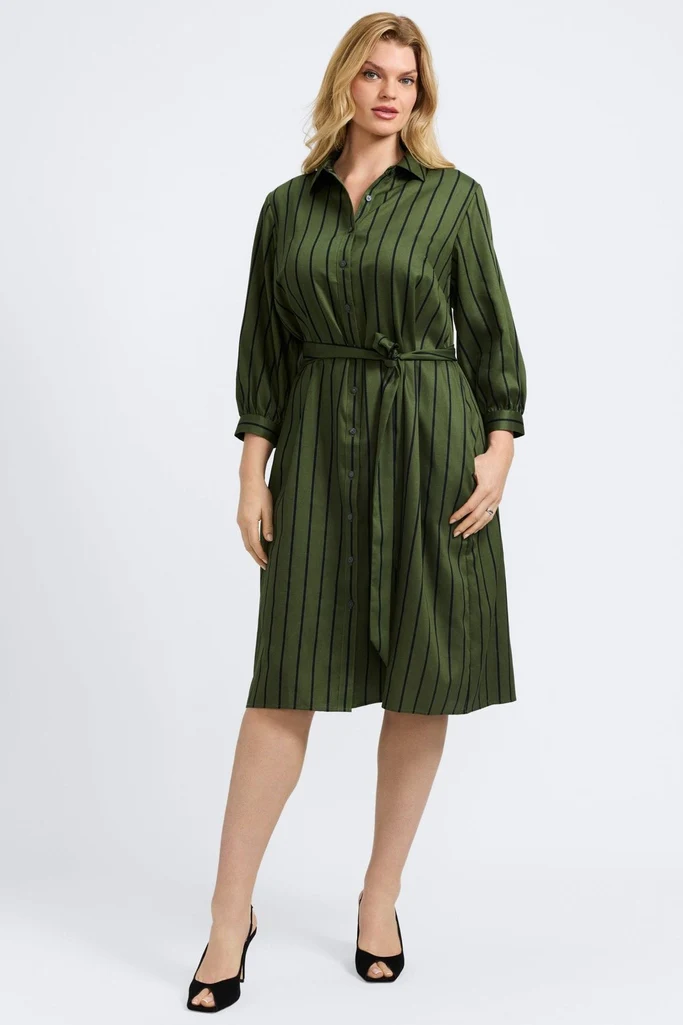 Esther Plus Stripe & Houndstooth 3/4 Sleeve Dress - Image 6