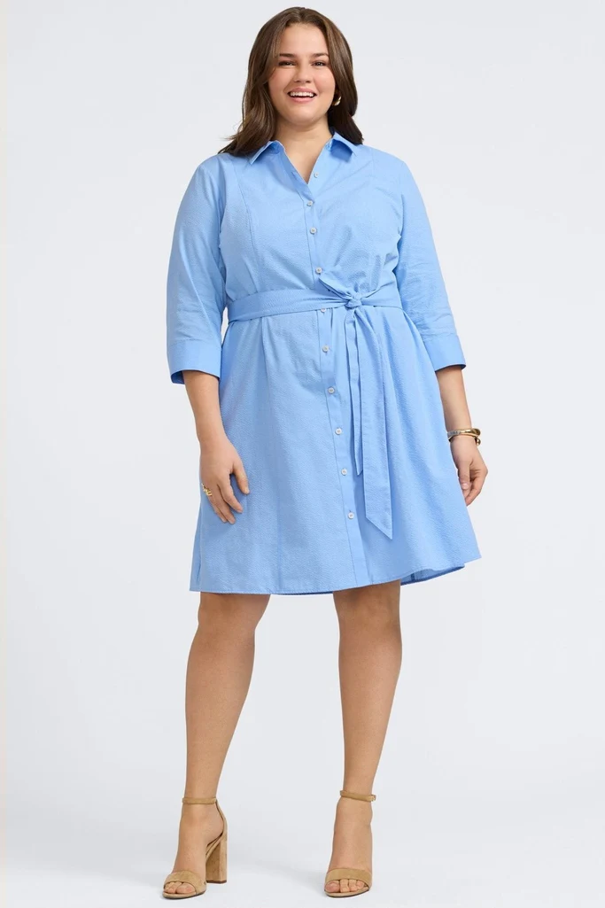 Fiona Plus Seersucker 3/4 Sleeve Dress - Image 5