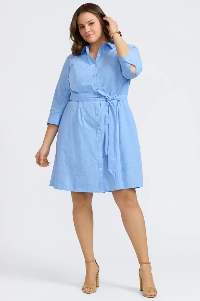 Fiona Plus Seersucker 3/4 Sleeve Dress - Image 8
